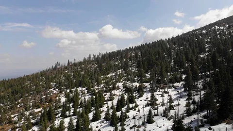 Trees on a mountain in Poland 動画素材 129371187