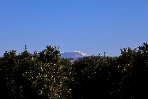 Trees mountain sky Stock Photos
