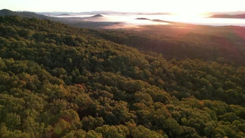 Trees on The Mountain at Sunrise Stock Footage 221114443