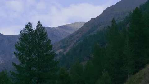 Trees, mountains and sky Stock Footage 171732128
