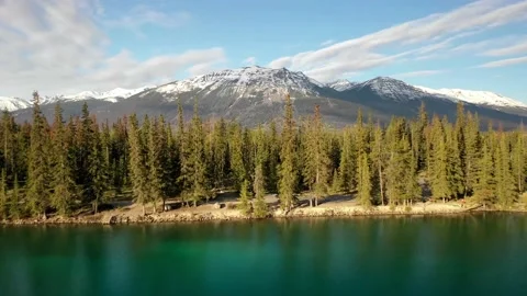 Trees into mountains Stock Footage 134343671