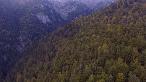 Trees mountains forest Stock Footage 121226500