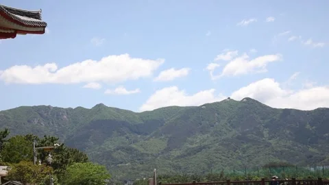 Trees in the mountains, mountain and blue sky Video stock 310355527