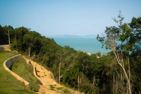 Trees in the mountains with sea view Stock Photos
