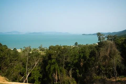 Trees in the mountains with sea view Stock Photos