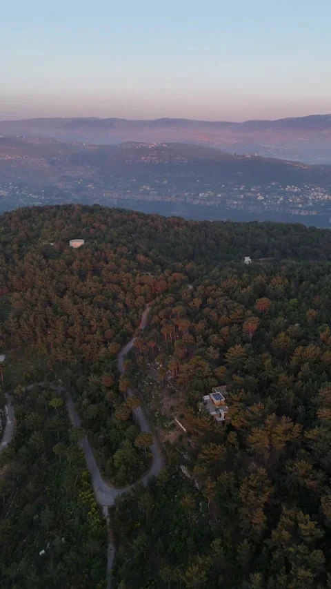 Trees mountains sky sunset 库存影片 313534791