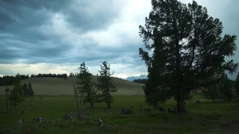 Trees in the mountains at sunset. Cloudy sky Video stock 93155252