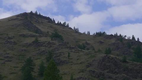 Trees on the mountainside Stock Footage 171735835