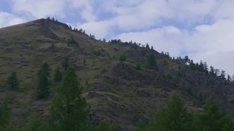 Trees on the mountainside Stock Footage 171735881