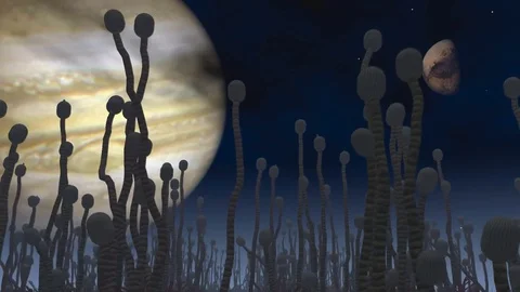 Trees - move toward planets Video stock 70910654