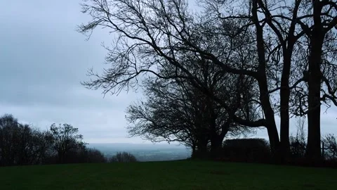Trees moving in the wind on a bleak stormy day in the countryside Stock Footage 145339140