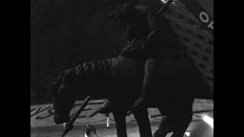 Trees of Mystery 1950 Stock Footage 152920177