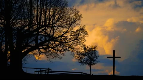 Trees Nature Environment Cross Line Art Branches, Stock Footage 238394330