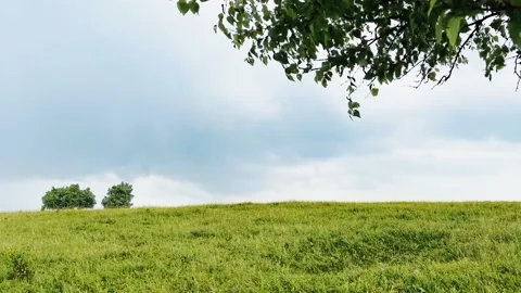 Trees nature tranquility scenery grass beauty environment clouds grassland Stock Footage 233548254
