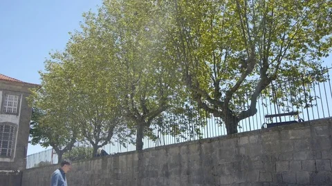 Trees near the monastery. Stockbeeldmateriaal 122507100
