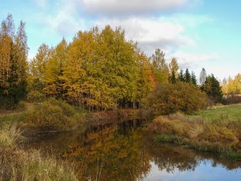 Trees next to a river Stock Photos