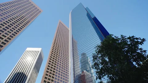 Trees next to skyscraper buildings. Modern urban lifestyle, city life work in LA Stock Footage 169403043