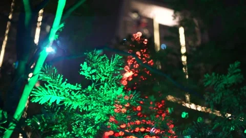 Trees At Night Illuminated By Lights Stock Footage 244884449