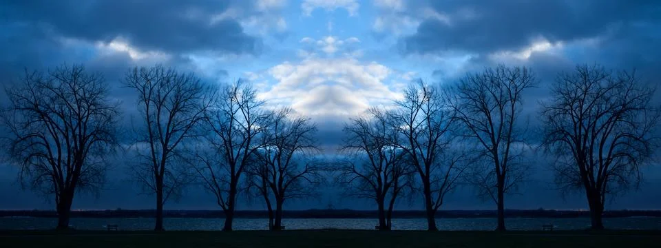 Trees at nightfall Stock Photos