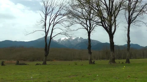Trees with no leaves in front of a mountain. Vídeos de archivo 37718154
