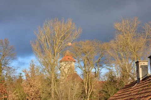 Trees obscuring the castle tower on a cloudy autumn day. Autumn. Stock Photos