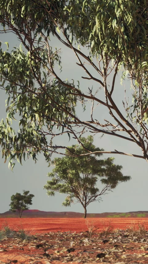Trees in an open field under a cloudy sky during the day in Australia Stock Footage 346752580