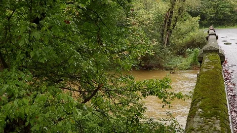 Trees over river and an old bridge Video stock 97528816