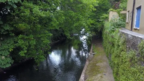 Trees over a river 스톡 동영상 108515538