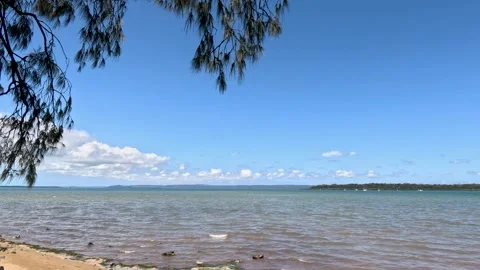 Trees Overhanging Bay Views Stock Footage 257642784