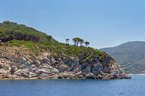 Trees overlooking the sea Stock Photos
