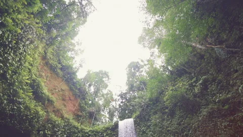 Trees Overlooking Ubud Waterfall Stock Footage 146102694