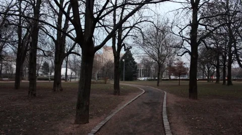 Trees in the park in an apocalyptic atmosphere in Budapest, Hungary. Stock Footage 45757900