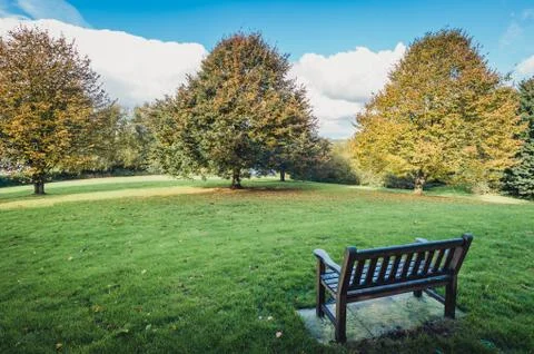 Trees in the park in autumn Stock Photos