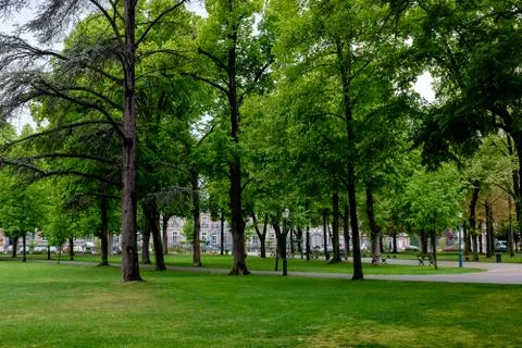 Trees in a park, cloudy day, Parque du Champs de Mars, Colmar, Alsace. Stock Photos