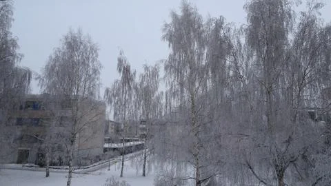 Trees in the park covered with a thick layer of snow on a dark cold winter da Fotos de archivo