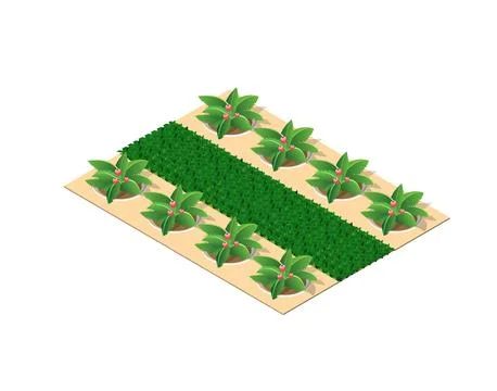 Trees of a park flower bed イラスト素材