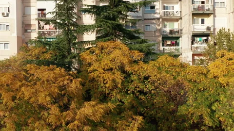 Trees in a park in front of a high rise apartment buildings Stock Footage 164918630