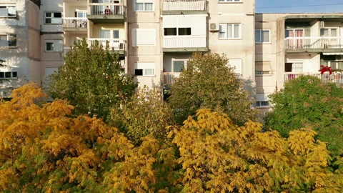 Trees in a park in front of a high rise apartment buildings Stock Footage 164935136
