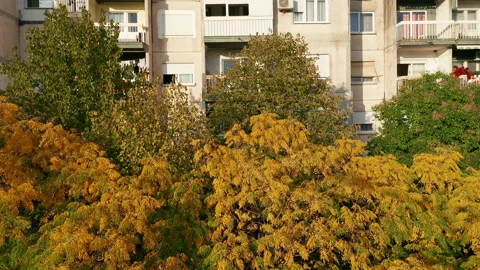 Trees in a park in front of a high rise apartment buildings Stock Footage 165066684