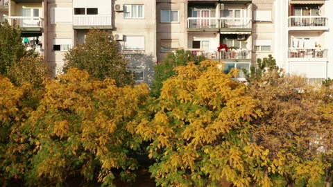Trees in a park in front of a high rise apartment buildings Stock Footage 165072006