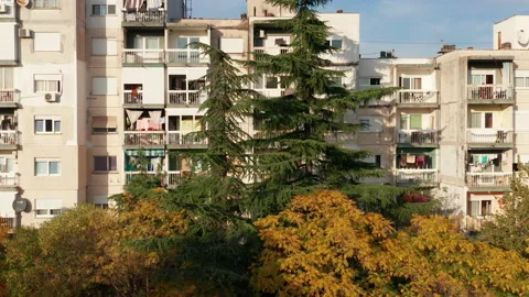 Trees in a park in front of a high rise apartment buildings Stock Footage 165077357