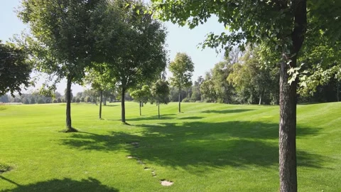 Trees in the park. Green grass. Beautiful day in the park. Stock Footage 160909059