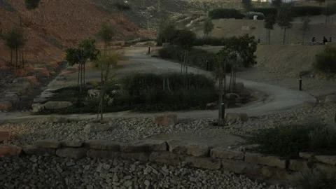 Trees in a park with a path. Evening. Stock Footage 264975840