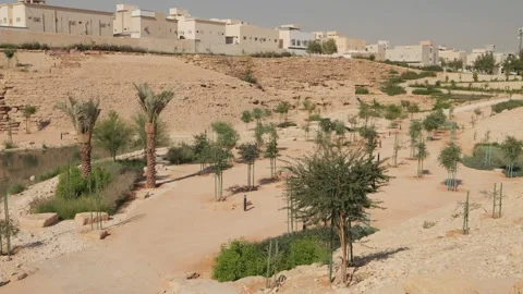 Trees in a park with a path 動画素材 264975760