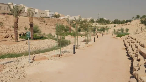 Trees in a park with a path Stock-Footage 268719173