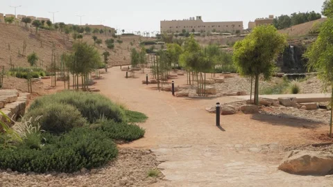 Trees in a park with a path Stock-Footage 268721856