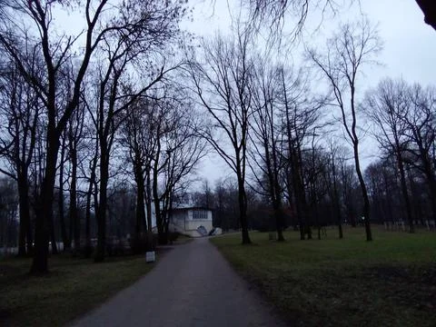 Trees in the park Stock Photos