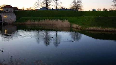 Trees from the park reflected in lake in sunset Stock Photos