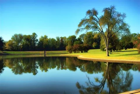 Trees in a park with reflection in a clean pond Stock Photos