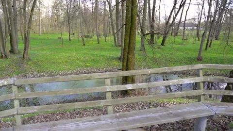 Trees in the park in spring Stock Footage 154908424